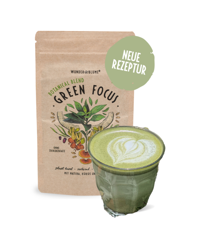 Green Focus Latte-matcha-haselnuss-pistazie-cholorella-maulbeeren-kokos-reishi