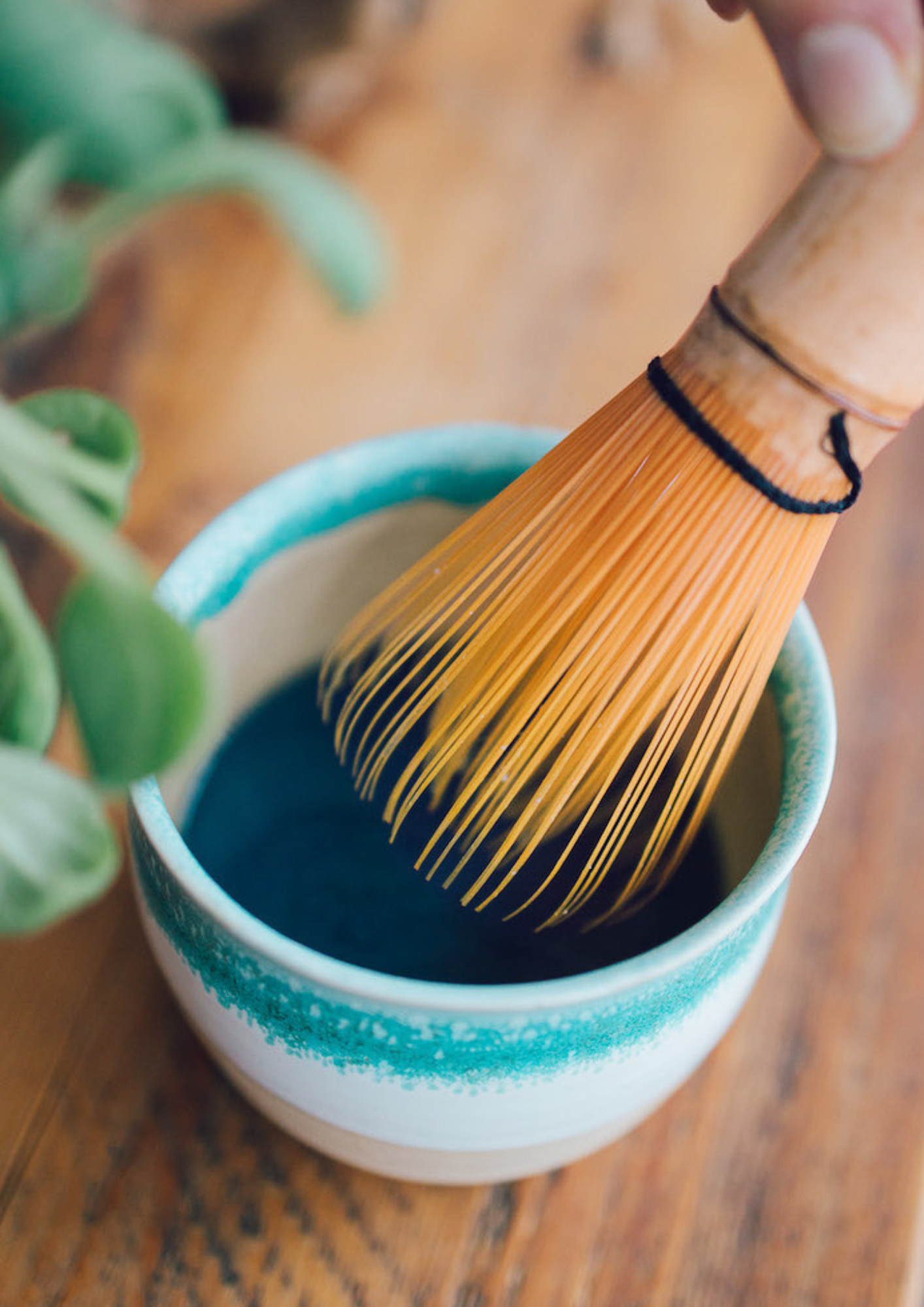 Wunderblume Botanical Blend Besen Matcha aufrühren